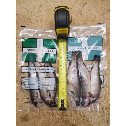 Picture of DEVON BAITS Deadbait TROUT (3 pack)