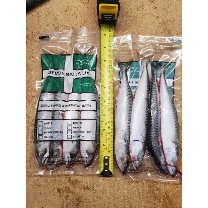 Picture of DEVON BAITS Deadbait MACKEREL Mini 4 pack